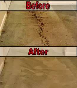 Avon Carpet Cleaning Company | 865 Darlington Dr, Avon, IN 46123, USA | Phone: (317) 641-1245