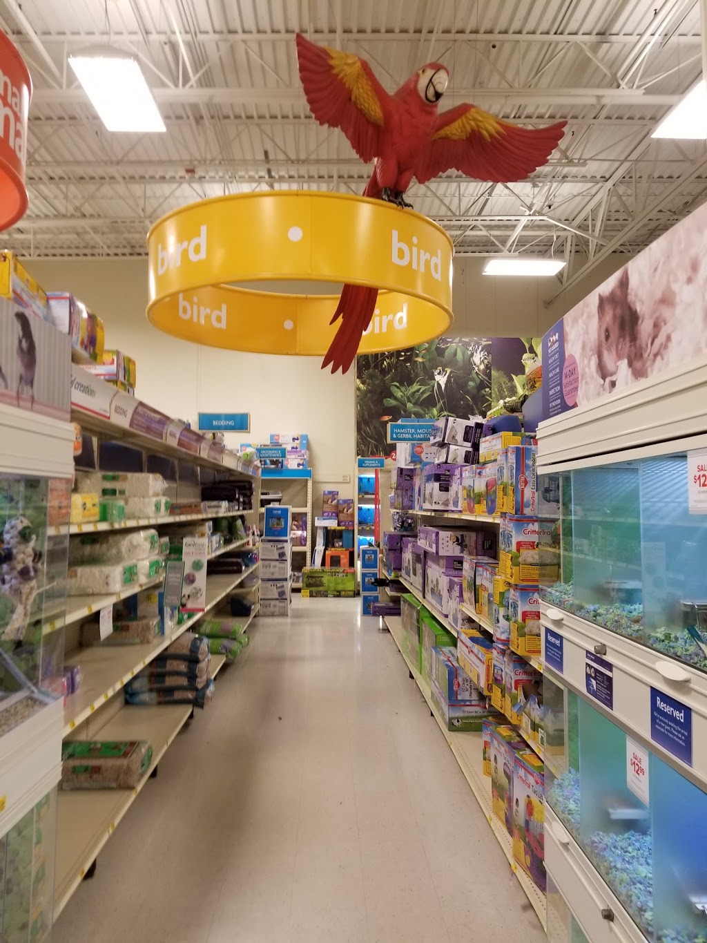 PetSmart | 3119 Silverlake Village Dr, Pearland, TX 77584, USA | Phone: (713) 436-5481