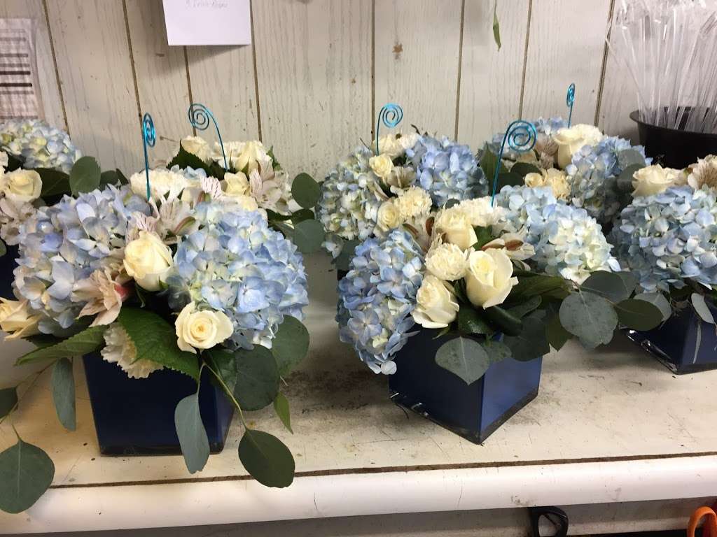 A Blossom Shop Florist | 66 Atlantic City Blvd, Bayville, NJ 08721, USA | Phone: (732) 349-7447