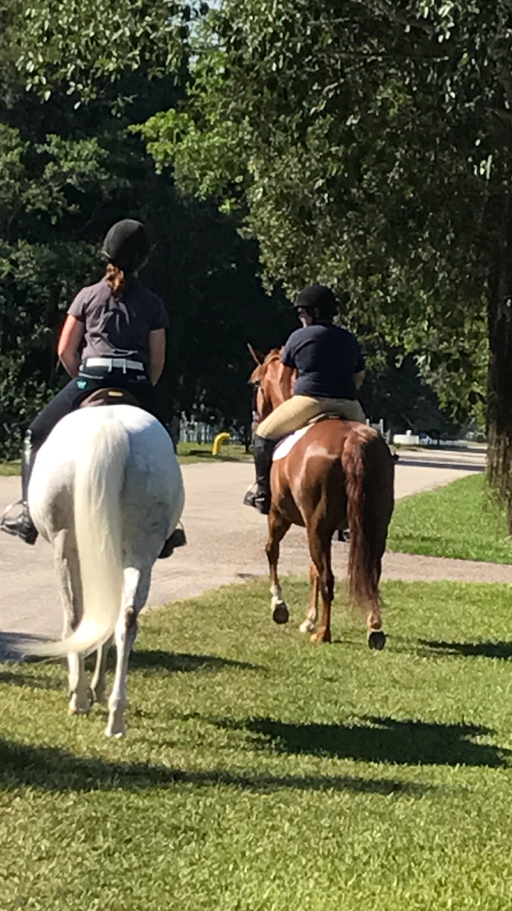 Hunter Creek Farm | 6300 Melaleuca Rd, Southwest Ranches, FL 33330, USA | Phone: (954) 444-2427