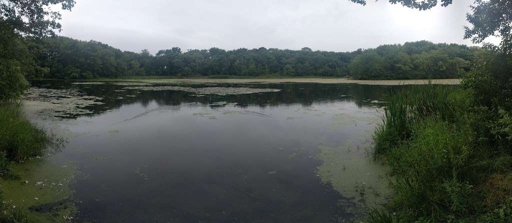 Carls Pond | Cumberland, RI 02864, USA