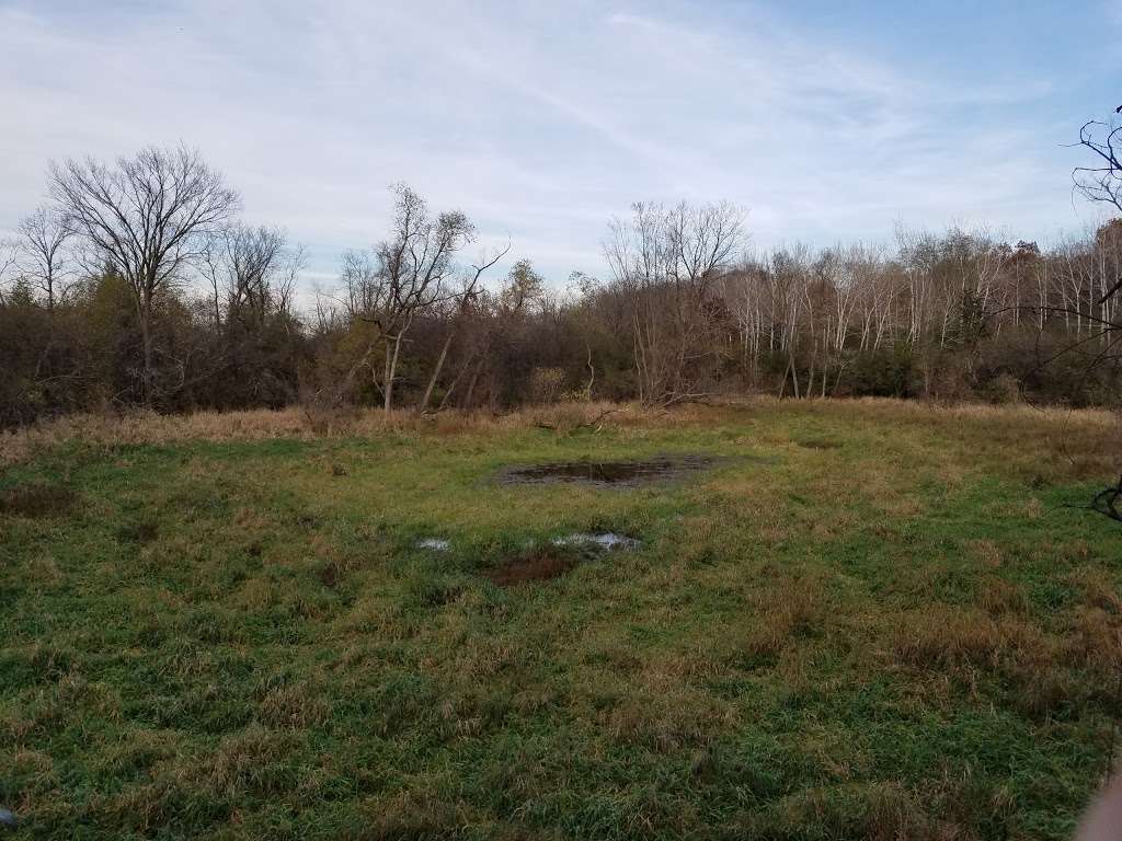 Kettle Moraine State Forest - Southern Unit | Palmyra, WI 53156