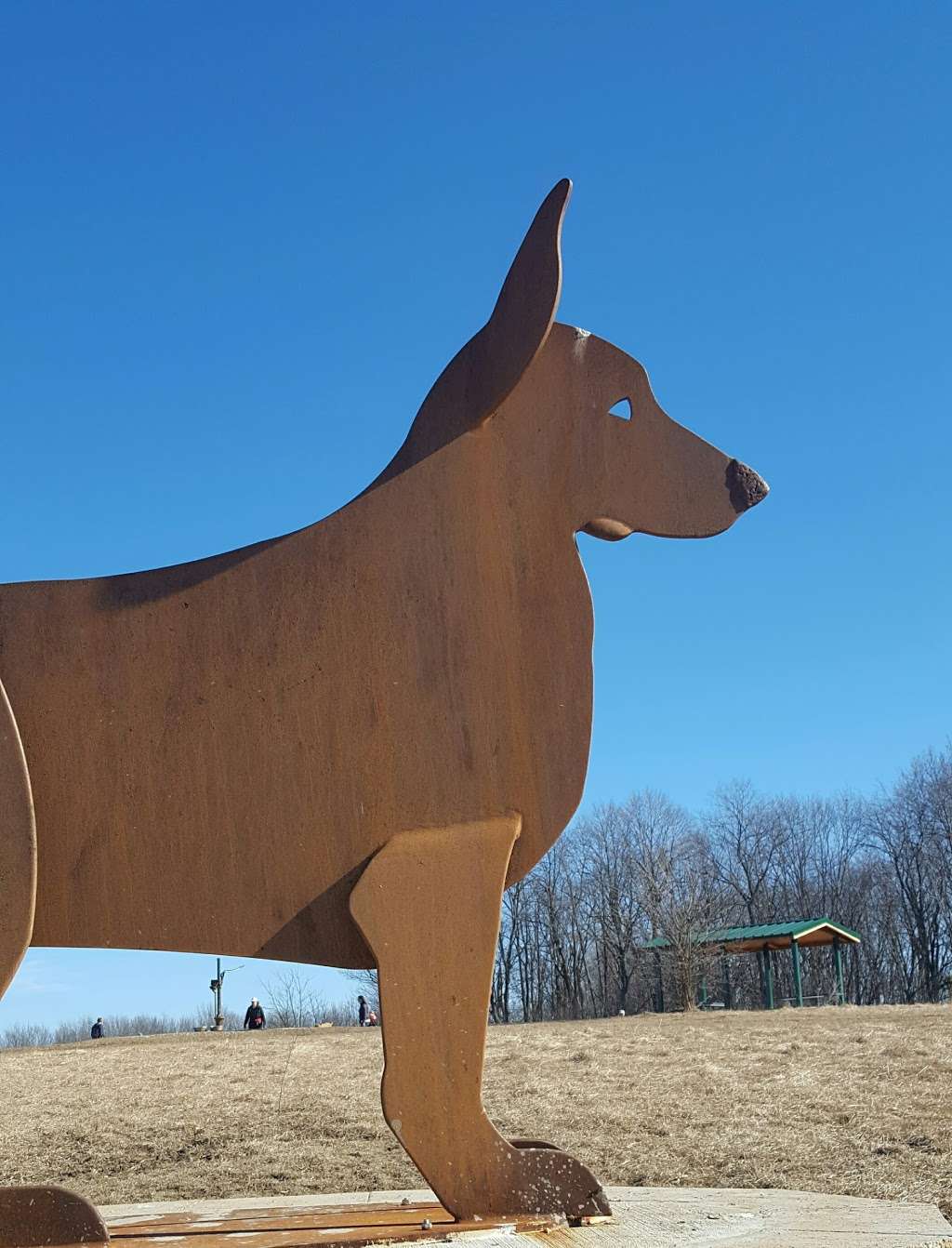 Terri Tinsley Dog Exercise Area | W5098 Canine Dr, Johnson Creek, WI 53038, USA | Phone: (920) 674-7260