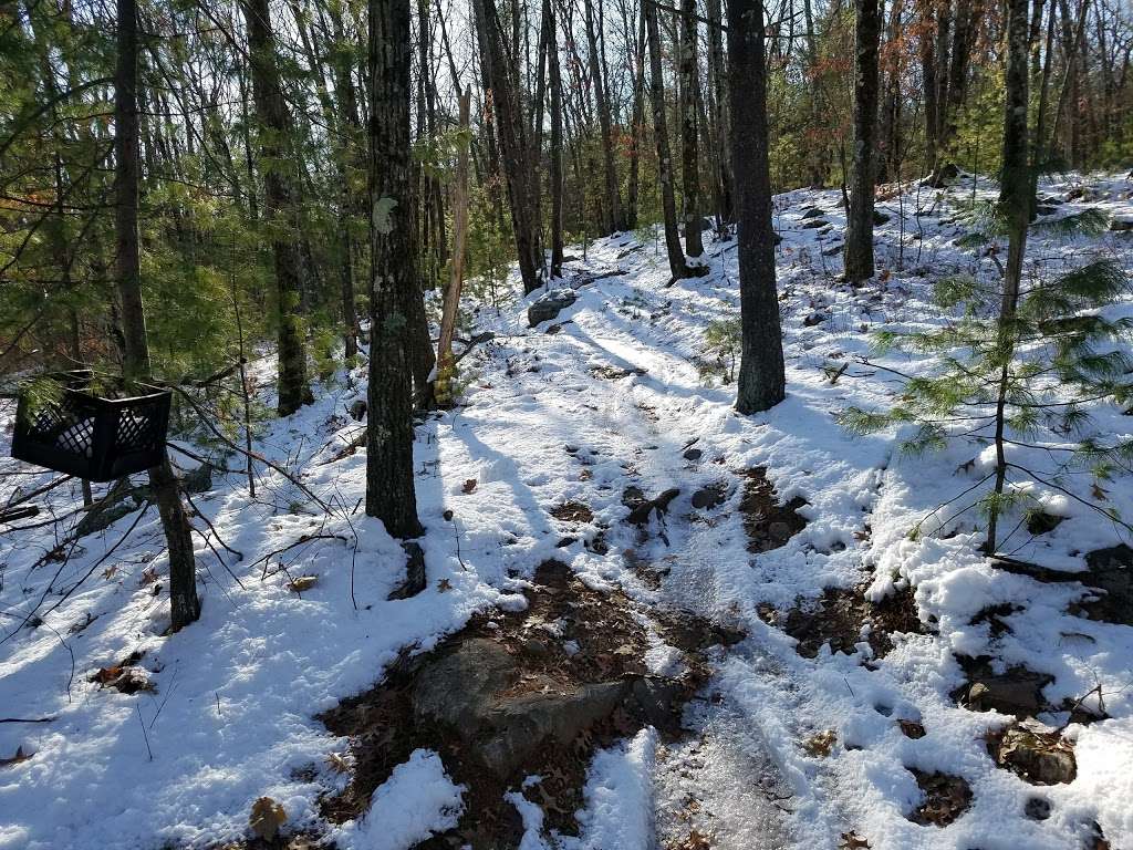 Burlington Landlocked Forest | Yellow Loop Trail, Lexington, MA 02420 | Phone: (781) 270-1600