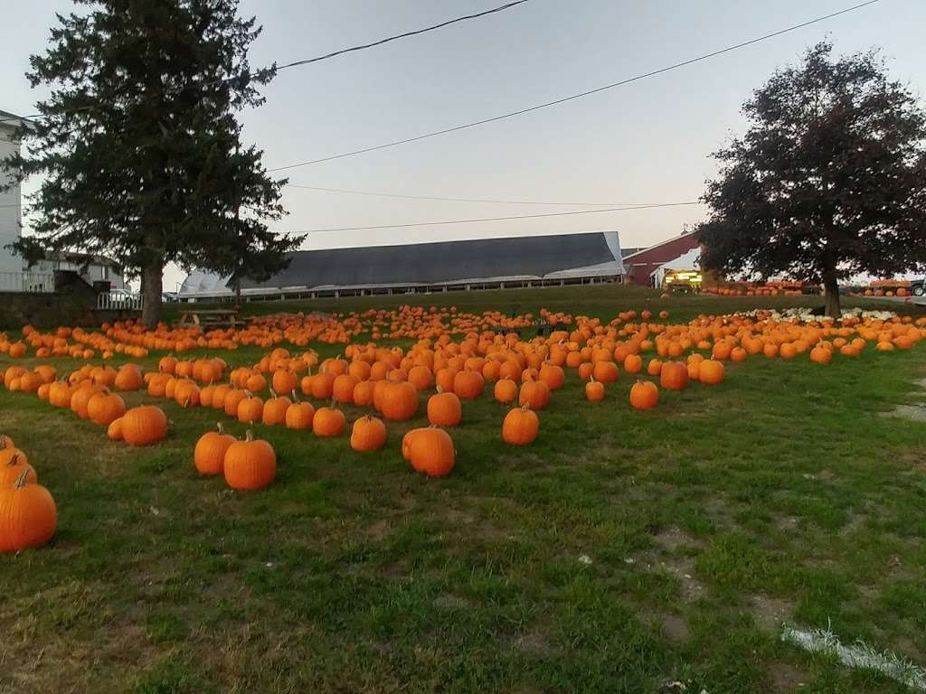 Marini Farm Corn Maze (Closed for Season) | 259 Linebrook Rd, Ipswich, MA 01938, USA | Phone: (978) 356-0430