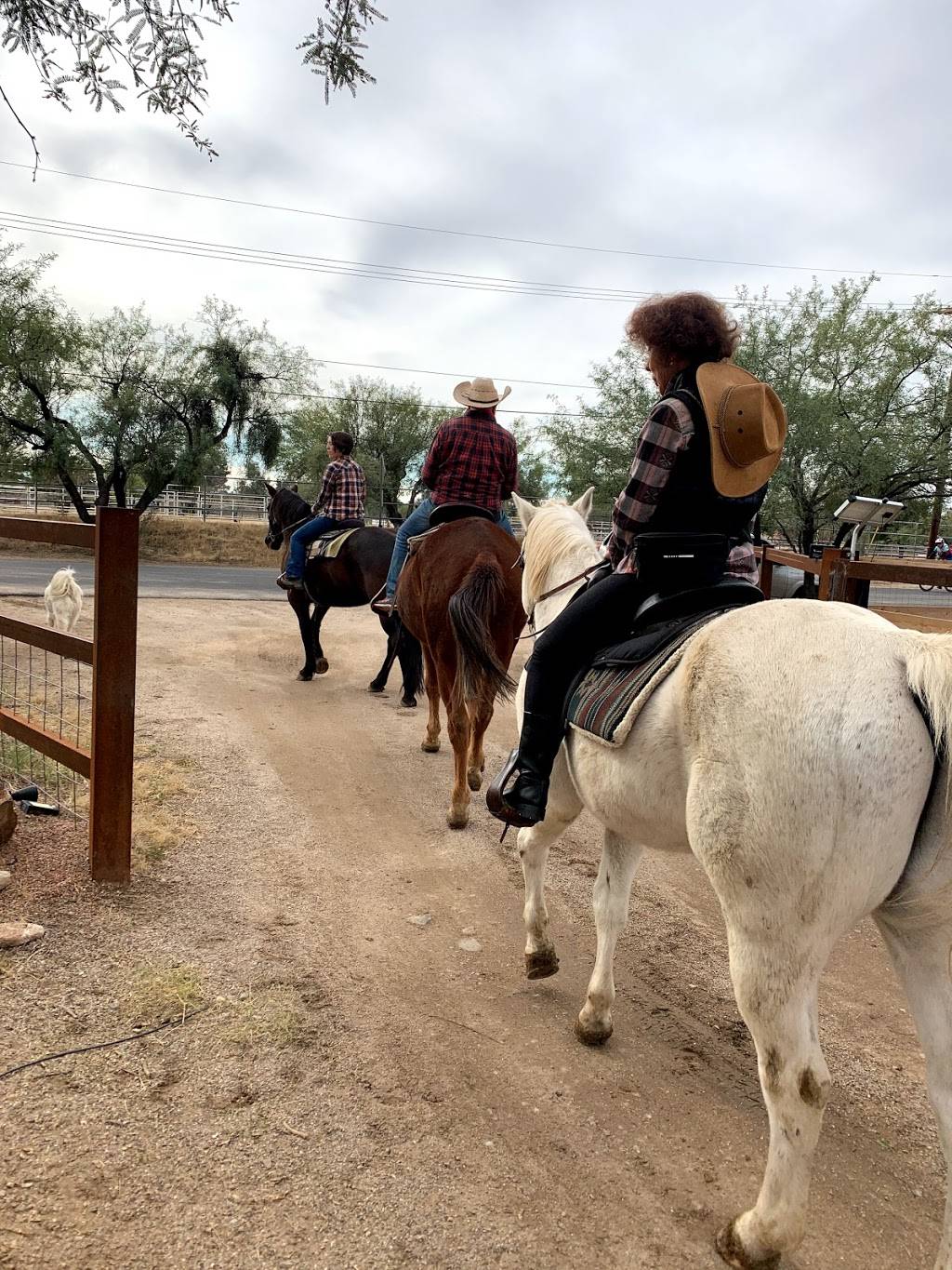 Heart of the Horse Ranch | 9035 E Woodland Rd, Tucson, AZ 85749, USA | Phone: (845) 667-2566