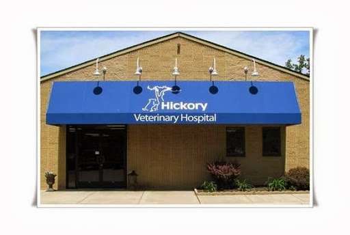 Hickory Veterinary Hospital | 534 E Jarrettsville Rd, Forest Hill, MD 21050, USA | Phone: (410) 838-7797