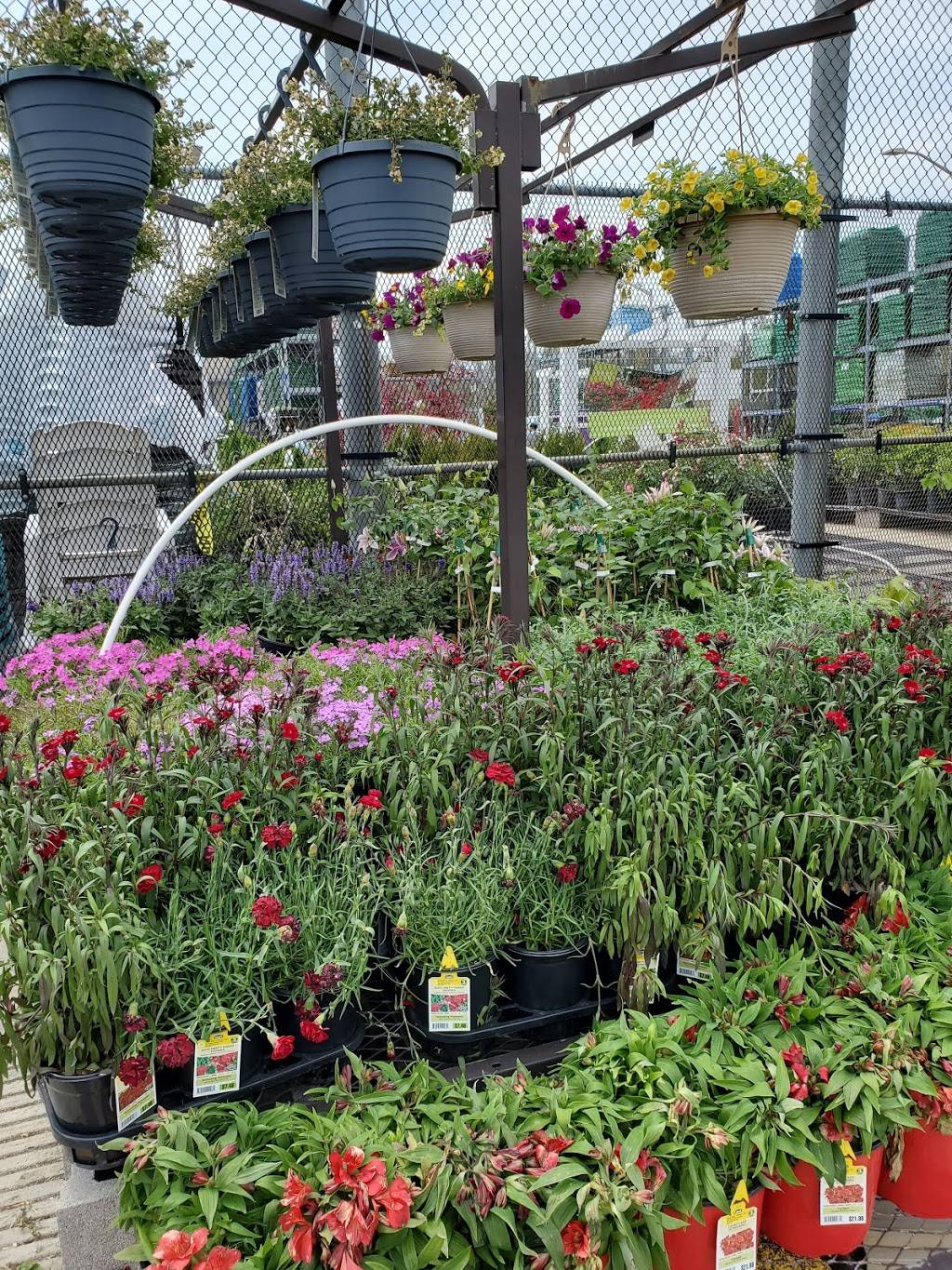 Lowes Garden Center | 5775 Baptist Rd, Bethel Park, PA 15102, USA | Phone: (412) 212-2000