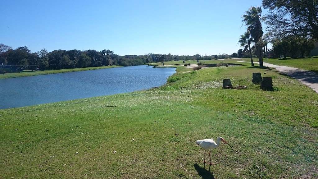 Remington Golf Club | 2995 Remington Blvd, Kissimmee, FL 34744, USA | Phone: (407) 344-4004