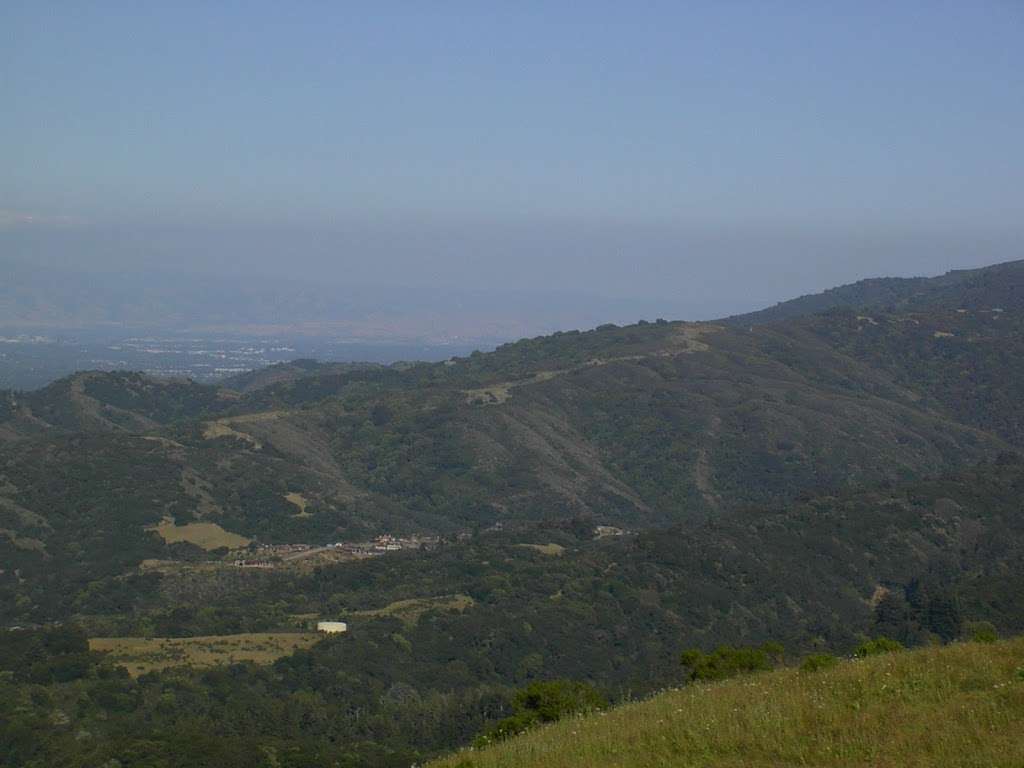 Windy Hill | Hamms Gulch Trail, Portola Valley, CA 94028, USA