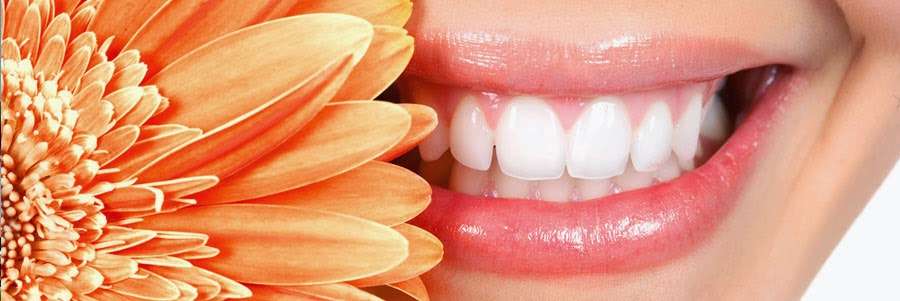 Dental Professionals of Algonquin | 1485 Merchant Dr, Algonquin, IL 60102, USA | Phone: (847) 458-6684