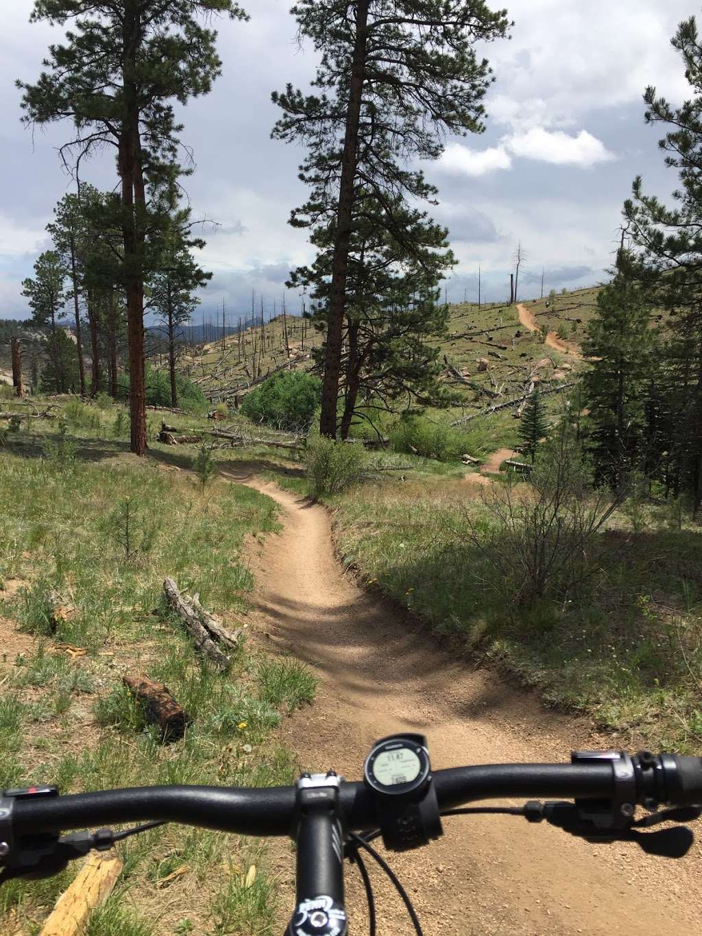 Buffalo Creek Mountain Bike Parking | 18264-, 18268 S Buffalo Creek Rd, Pine, CO 80470