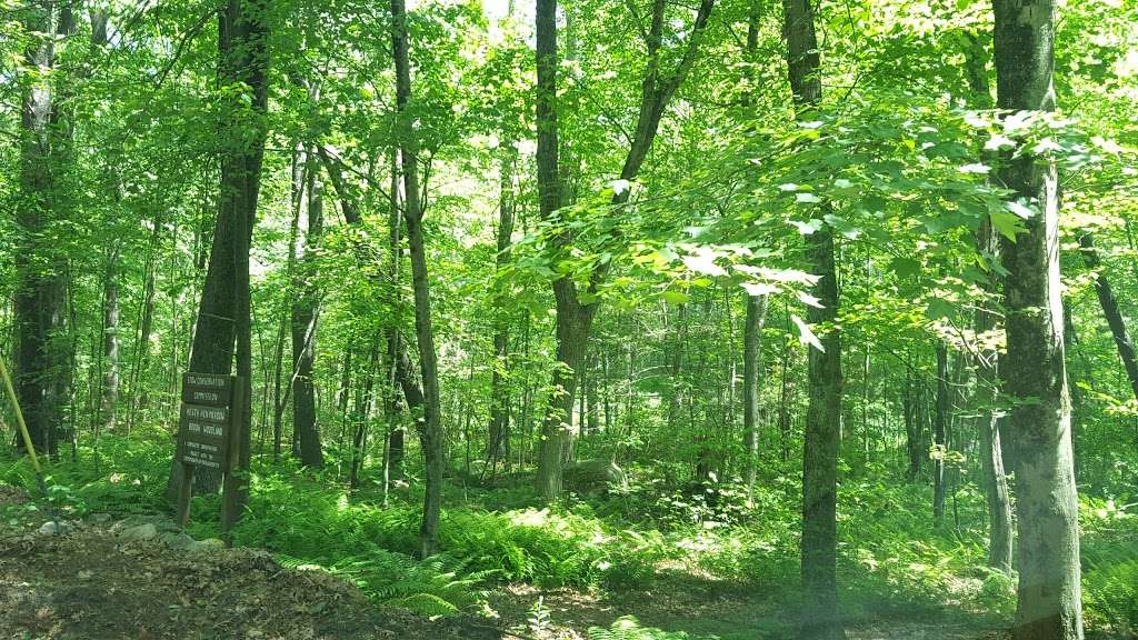 Heath Hen Meadow Brook Woodland Hiking Trail | 143-281 Boxboro Rd, Stow, MA 01775, USA