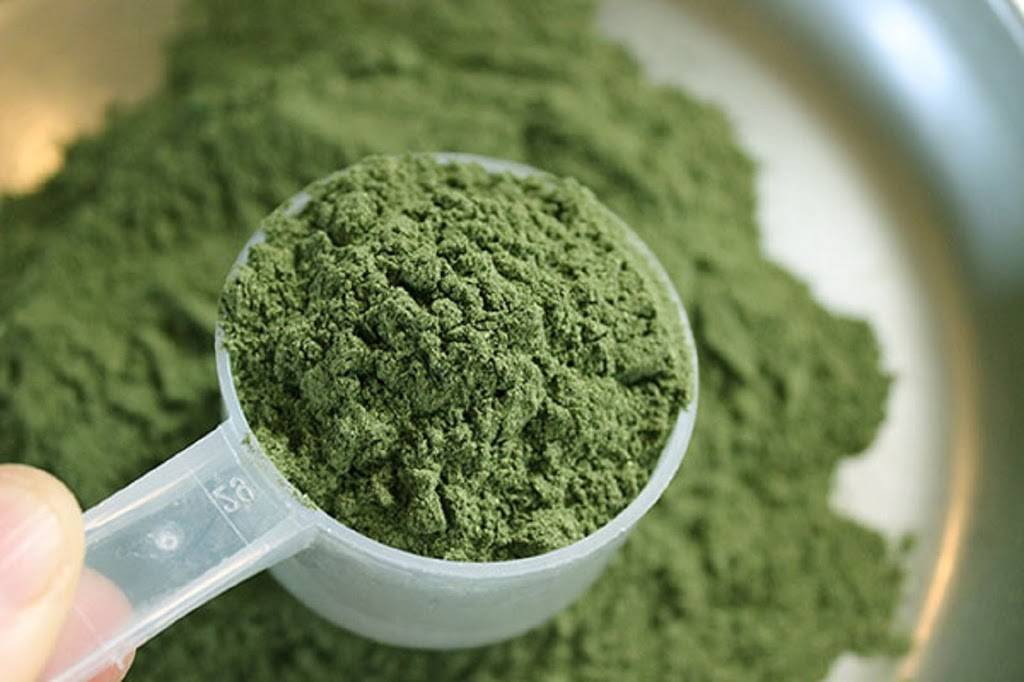 The Garden Of Tea Wholesale Kratom ounces$5 $99 kilos | 1616 Gulf to Bay Blvd suite e, Clearwater, FL 33755 | Phone: (727) 565-9415