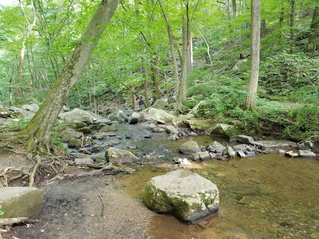 Hacklebarney Hiking Trail | 119 Hacklebarney Rd, Long Valley, NJ 07853 | Phone: (908) 638-8572