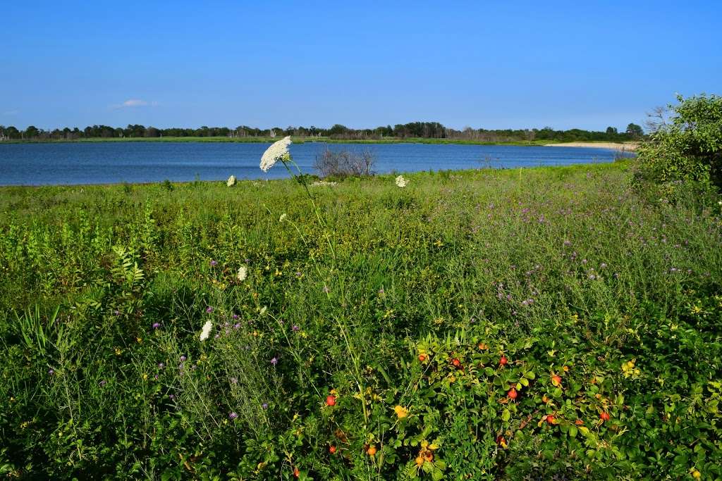 Jamaica Bay Wildlife Refuge Visitor Center | 175-10 Cross Bay Blvd, Broad Channel, NY 11693 | Phone: (718) 318-4340