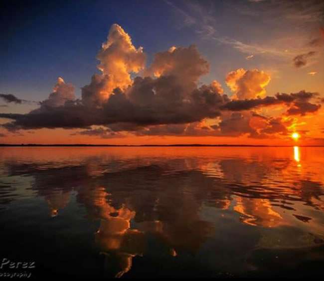 Conch Cruises & Tours | U-Tiki Beach Marina 1095 N Hwy A1A, Jupiter, FL 33477 | Phone: (561) 797-9979