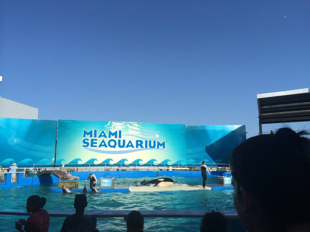 Seaquarium | 3979 Rickenbacker Causeway, Key Biscayne, FL 33149, USA | Phone: (305) 361-5705