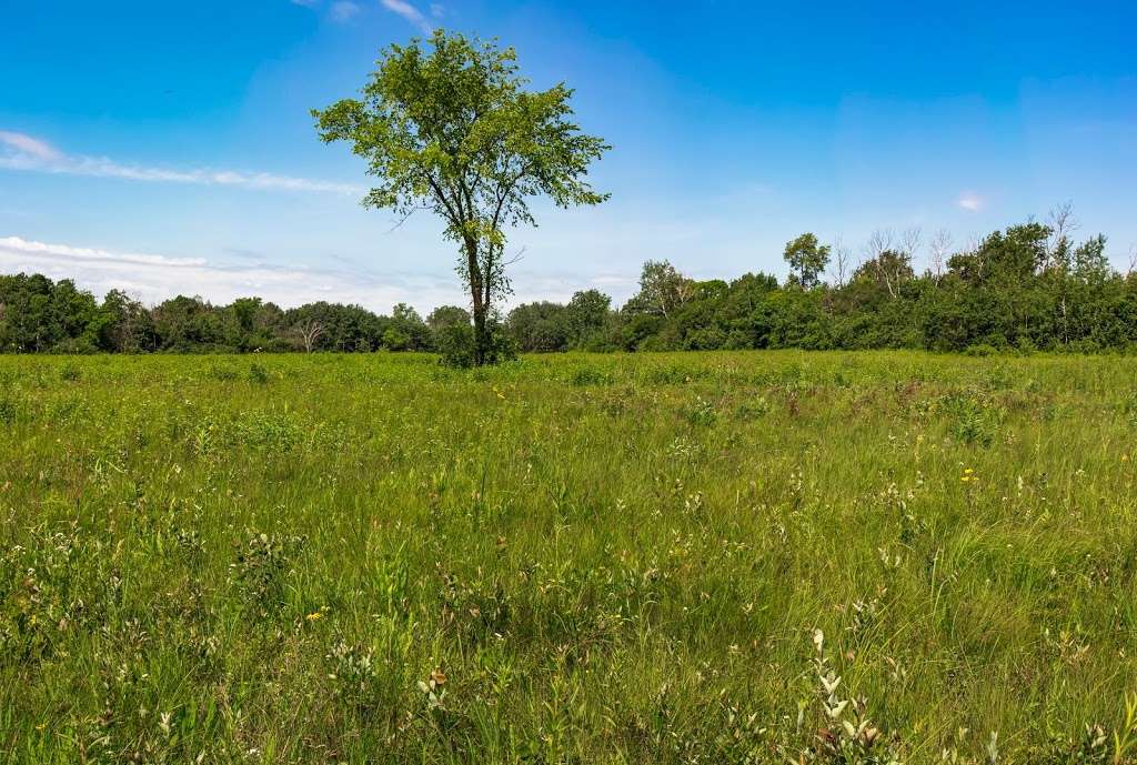 Young Prairie State Natural Area | Whitewater, WI 53190, USA | Phone: (608) 266-0394