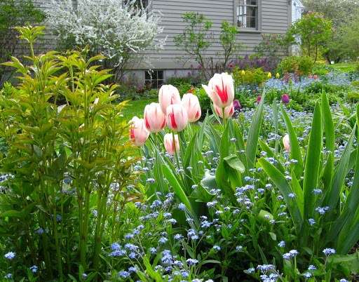 Forget-Me-Not Garden Services | 78 Western Ave, Essex, MA 01929, USA | Phone: (978) 768-7160