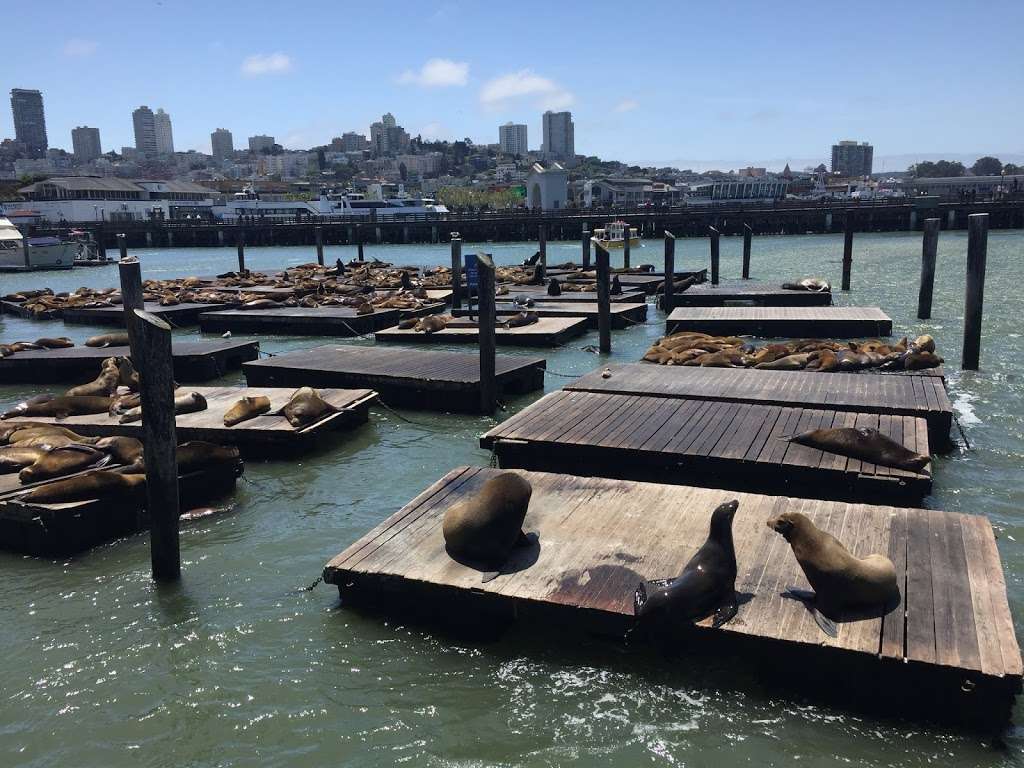 Pier 39 Garage | 100-172 Beach St, San Francisco, CA 94133, USA | Phone: (415) 705-5500