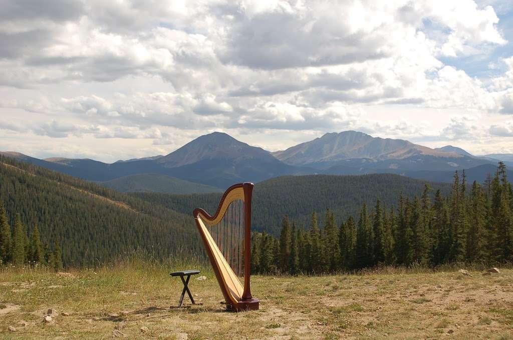 Colorado Harpist Erin Newton | 8341 Coors St, Arvada, CO 80005, USA | Phone: (303) 253-5090