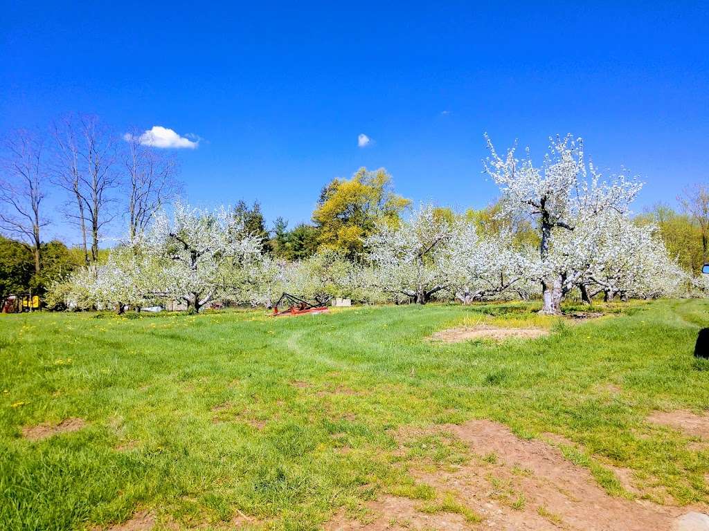 Orchards of Concklin | 2 S Mountain Rd, Pomona, NY 10970, USA | Phone: (845) 354-0369