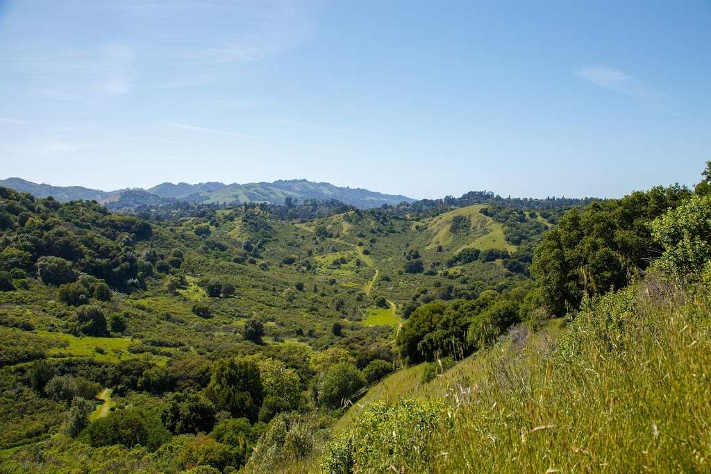 Lafayette Reservoir | Lafayette, CA 94549, USA