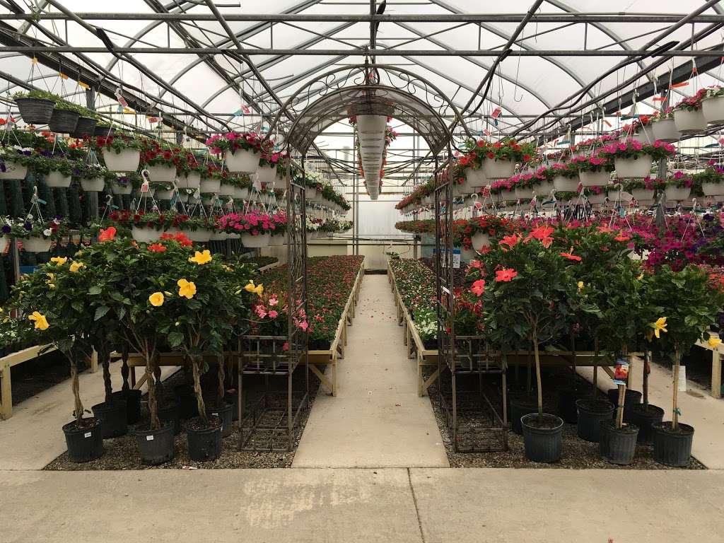 Van Kalker Farms & Greenhouses | 1808 E Joe Orr Rd, Chicago Heights, IL 60411 | Phone: (708) 758-1732