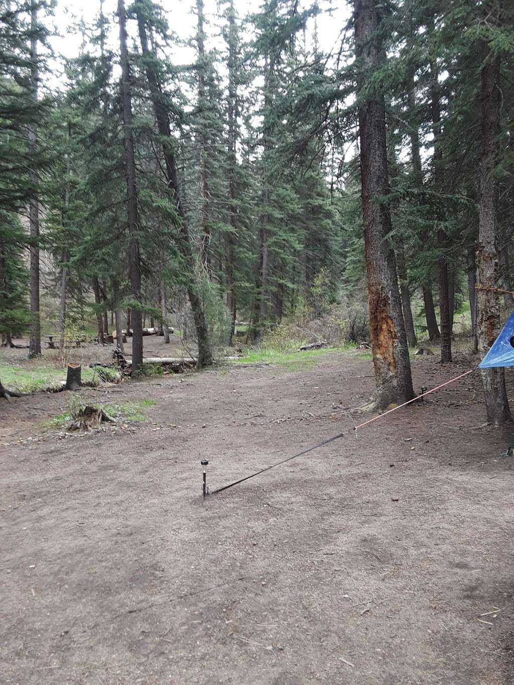 Green Mountain Campground | 20950 S Buffalo Creek Rd, Pine, CO 80470, USA