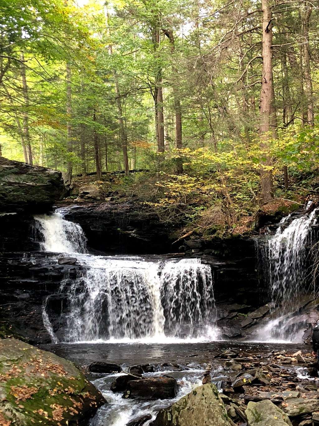 Ricketts Glen Visitors Center | PA-487, Lopez, PA 18628, USA | Phone: (570) 477-5675