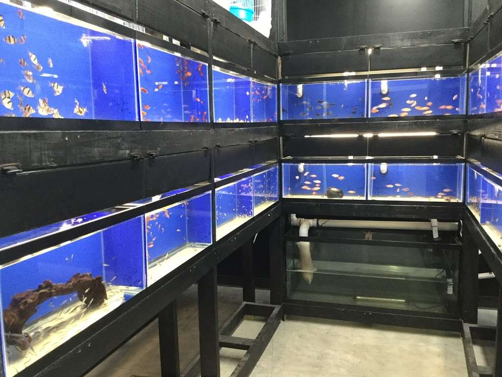 Aqua Novik Tropical Fish & Pets | 8350 Fry Rd, Cypress, TX 77433, USA | Phone: (281) 213-4687