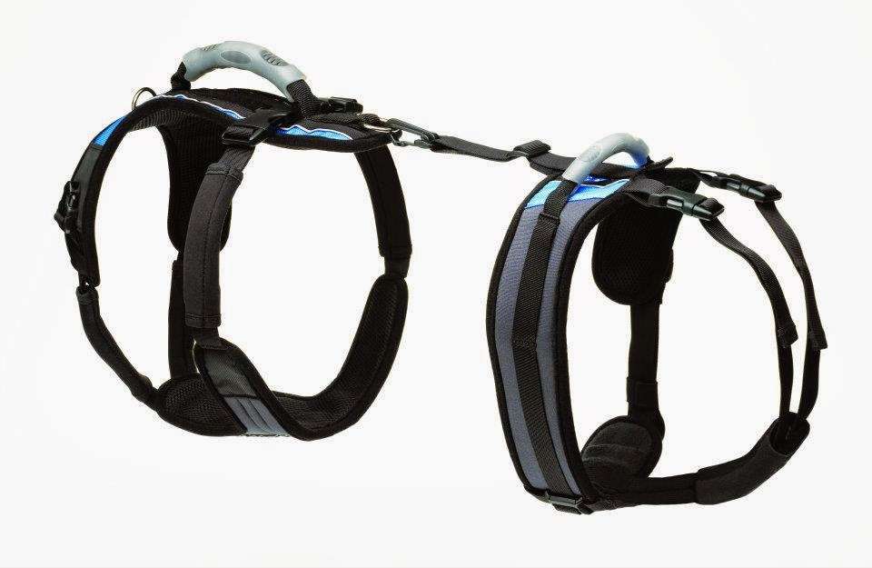 Help Em Up Harness | 1550 S Acoma St, Denver, CO 80223, USA | Phone: (720) 237-6852