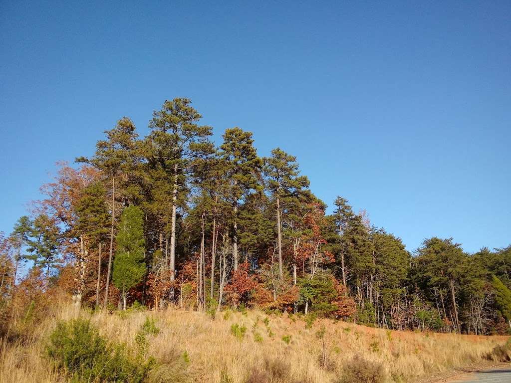 Kingfisher Pavilion | Statesville, NC 28677, USA