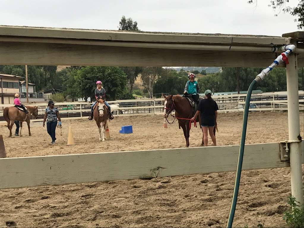 Fun With Horses | 449 Carbon Canyon Rd, Brea, CA 92328 | Phone: (949) 285-5286