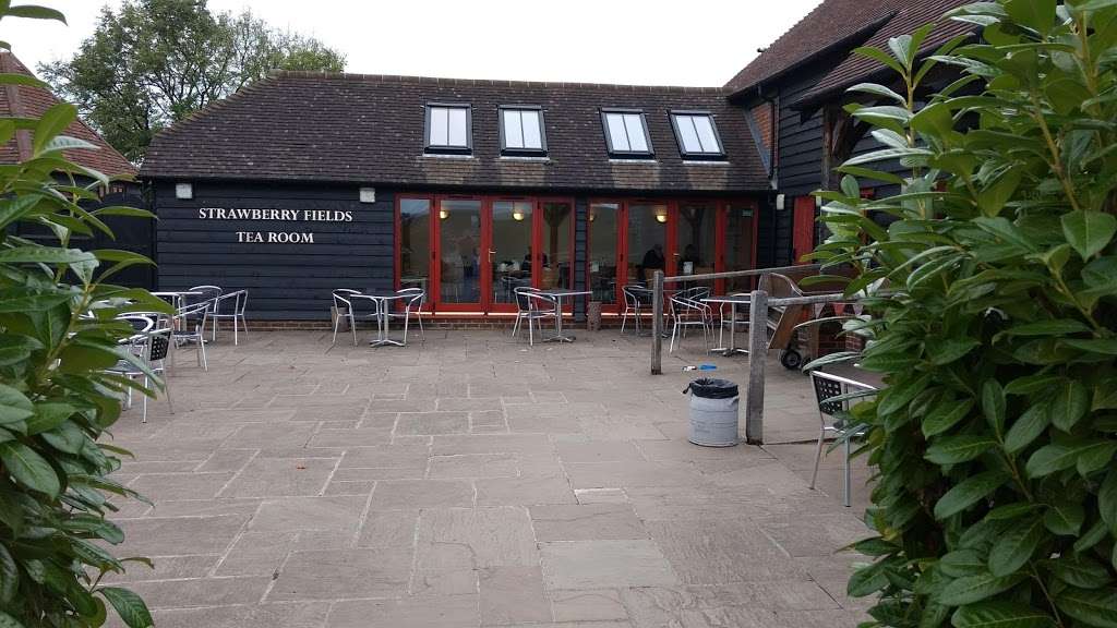 Strawberry Fields Tea Room | Old Crawley Rd, Faygate, Horsham RH12 4RU, UK