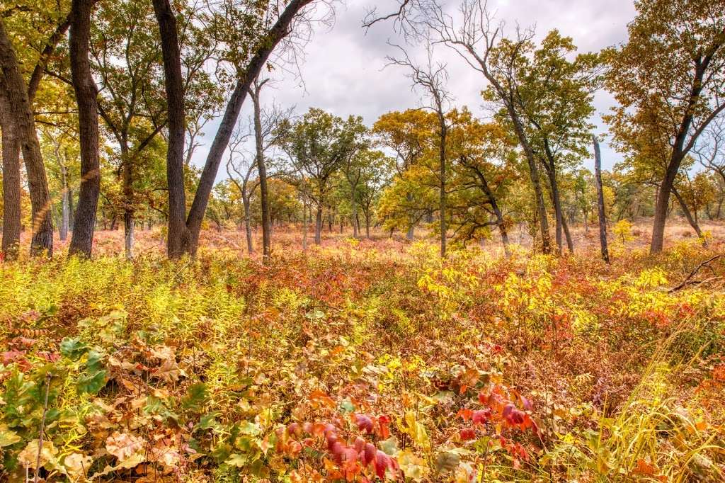 Indiana Dunes National Lakeshore | 1215 N State Rd 49, Porter, IN 46304, USA | Phone: (219) 395-1882