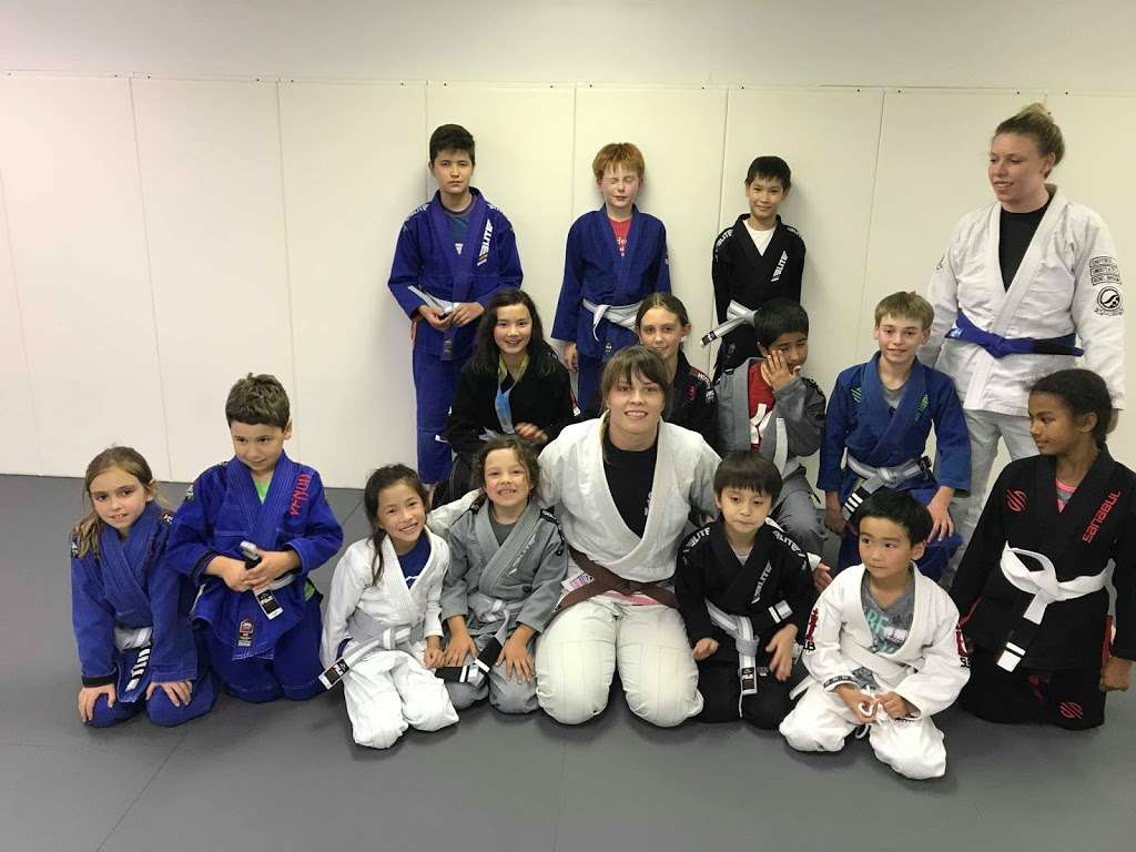 Abmar Barbosa Jiu Jitsu Academy | 8460-D Tyco Rd, Vienna, VA 22182, USA | Phone: (703) 869-8001