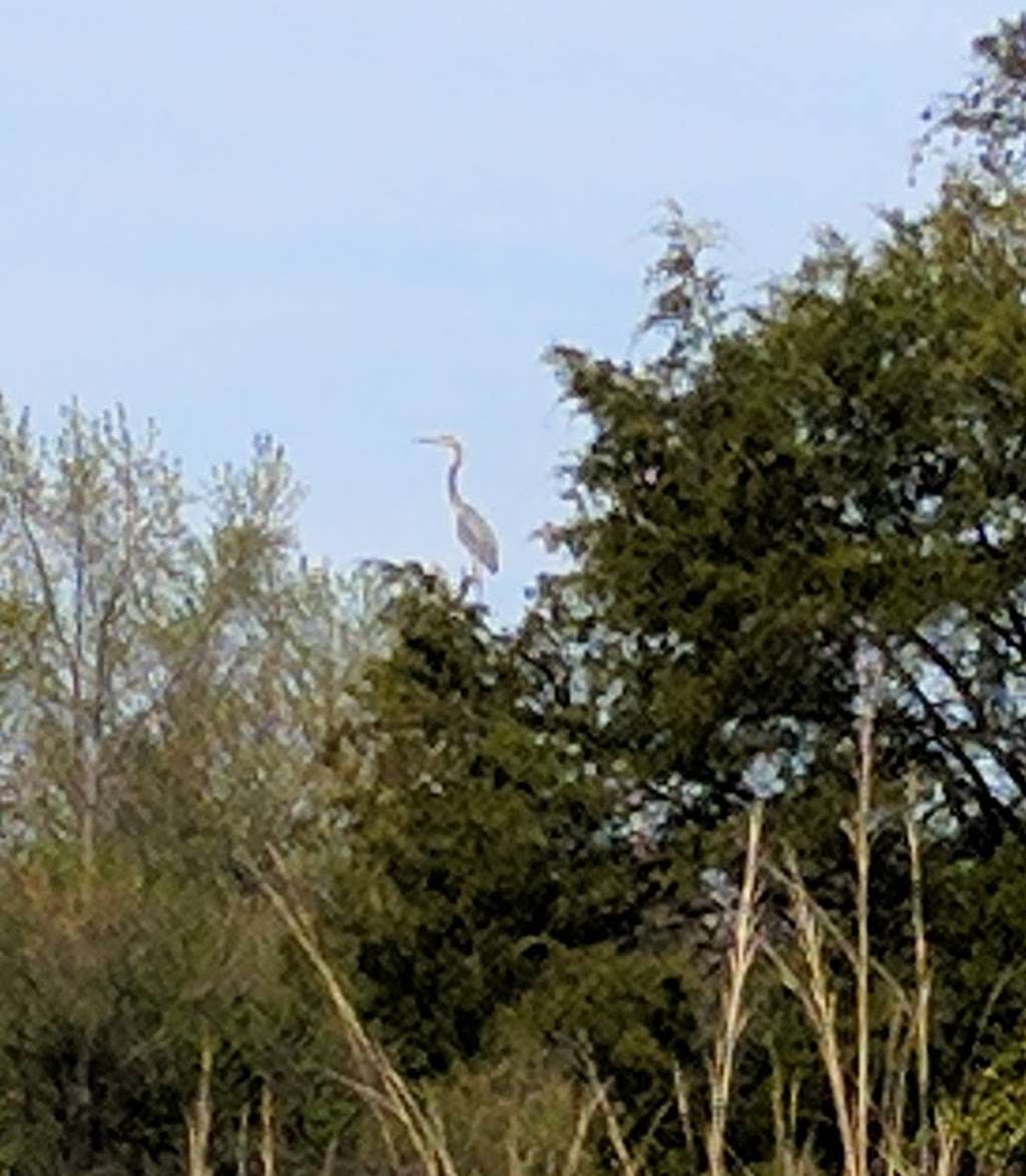 St. Clement's Shores Park in 22300 Meadow Ln, Leonardtown, MD 20650, USA