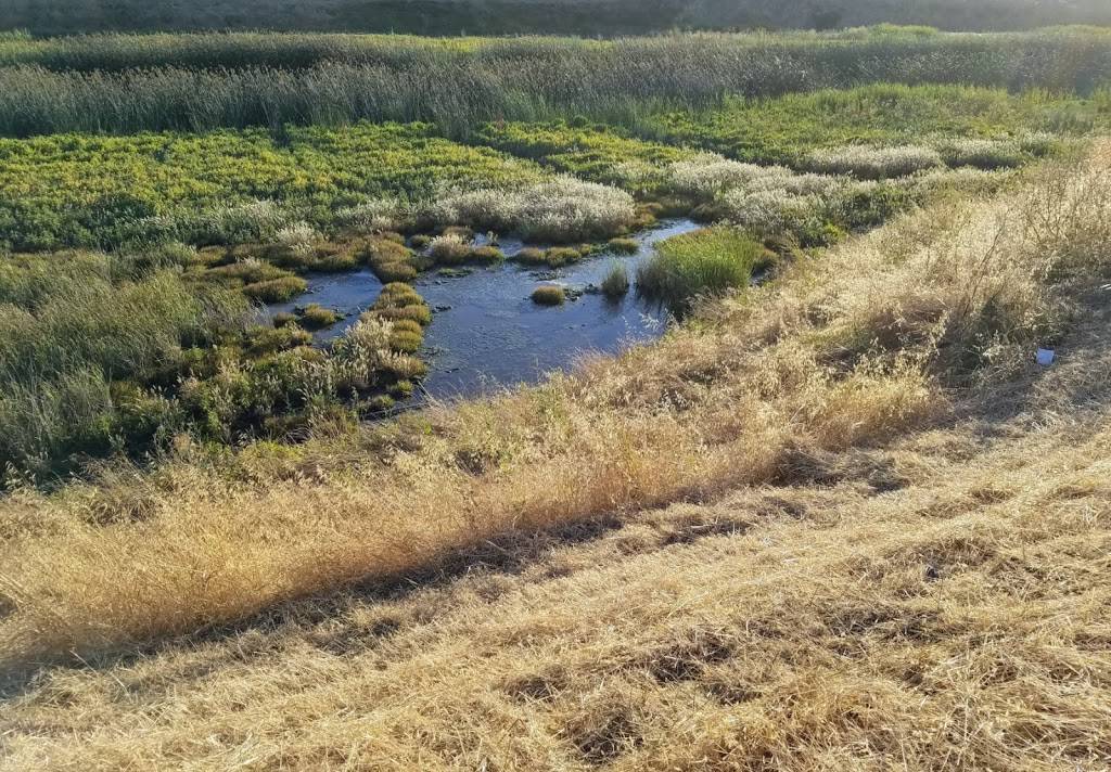 Lower Guadalupe River Trail | Guadalupe River Trail, San Jose, CA 95134, USA | Phone: (408) 298-7657