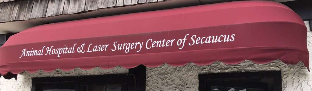 Animal Hospital and Laser Surgery Center of Secaucus | 100 Dorigo Ln, Secaucus, NJ 07094 | Phone: (201) 348-8100