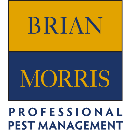 Brian Morris Prof Pest Management | 17956 Taylor Rd, Jupiter, FL 33478, USA | Phone: (561) 746-5668