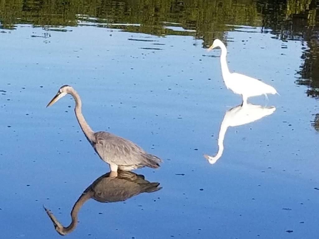 Cockroach Bay Aquatic Preserve | 3839 Gulf City Rd, Ruskin, FL 33570 | Phone: (813) 671-7754