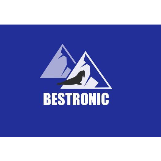 Bestronic Ltd | Unit H Marks Hall Farm, Marks Hall Farm Marks Hall Lane, White Roding, Dunmow CM6 1RT, UK | Phone: 01279 877773