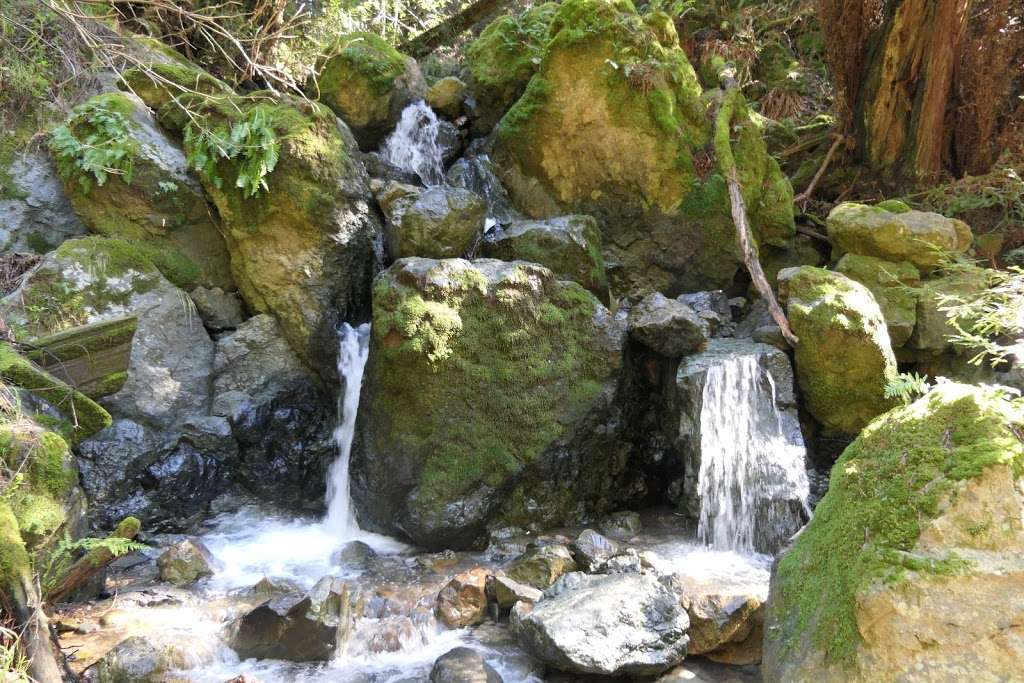 Matt Davis Trail Head | Matt Davis Trail, Stinson Beach, CA 94970, USA