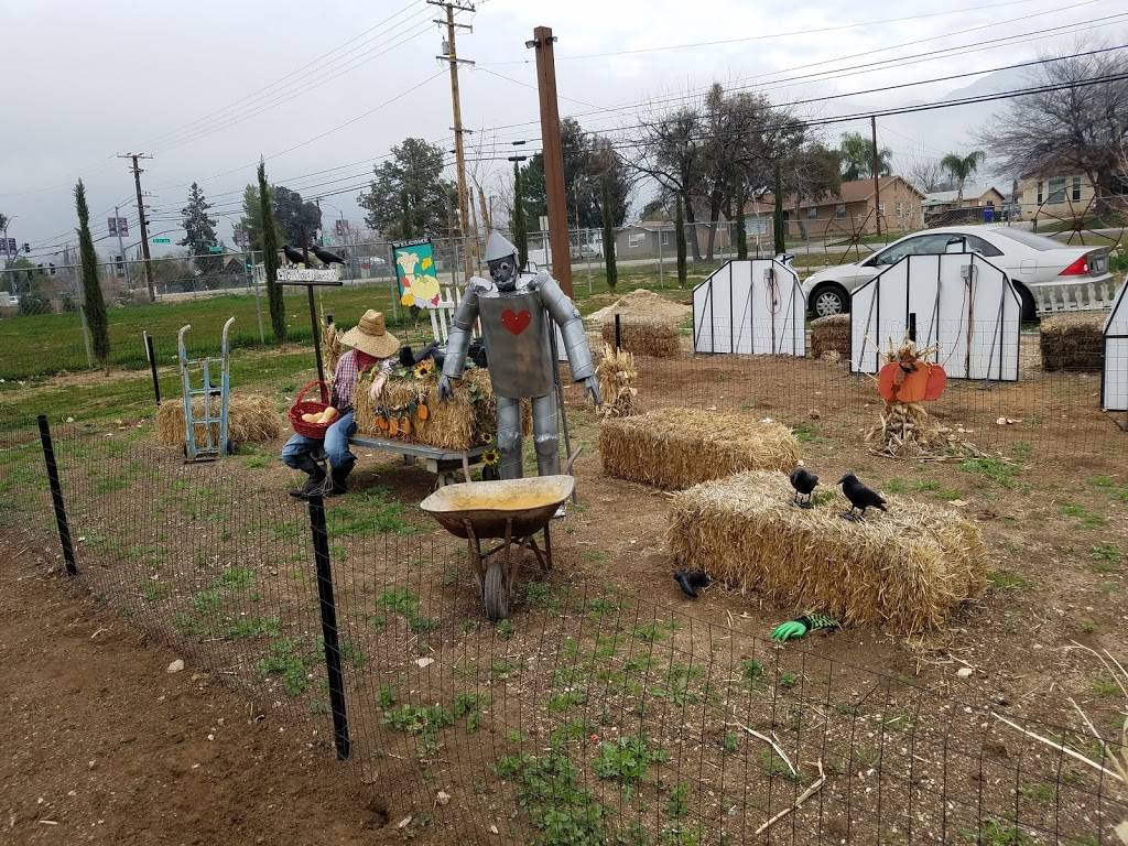 Garden Works for Kids | Is this the mailing address to send a donation check?, 10966 Bryant St, Yucaipa, CA 92399, USA | Phone: (909) 838-9430