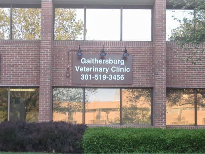 Gaithersburg Veterinary Clinic | 17 Firstfield Rd Suite 100, Gaithersburg, MD 20878, USA | Phone: (301) 519-3456