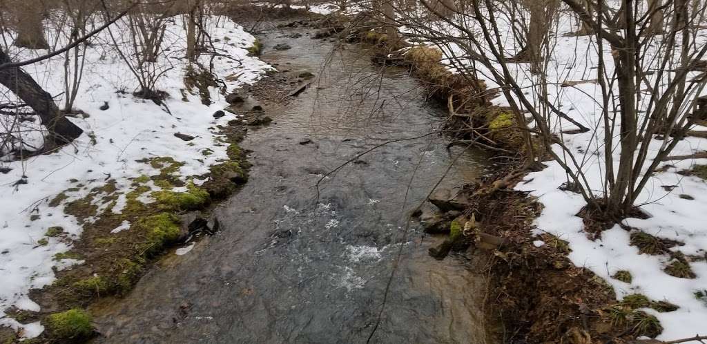 Trumbo Hollow Hike Trailhead - Appalachian Trail | 13167 John Marshall Hwy, Linden, VA 22642