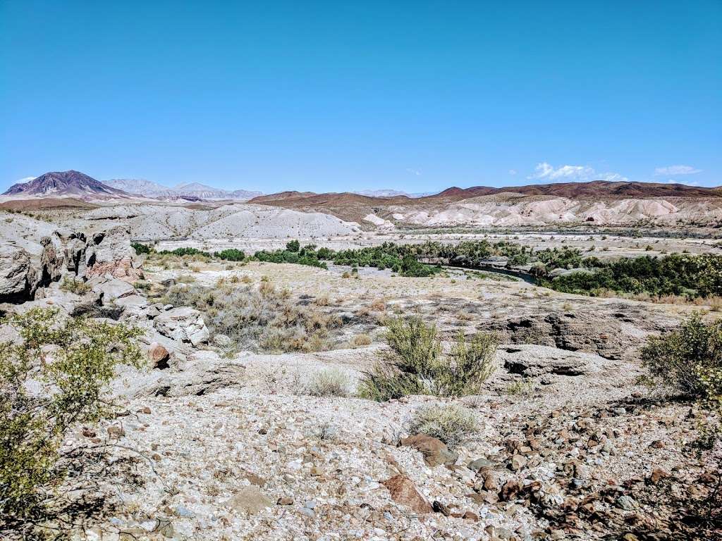 Bluff Trailhead | Bluff Trail, Boulder City, NV 89005