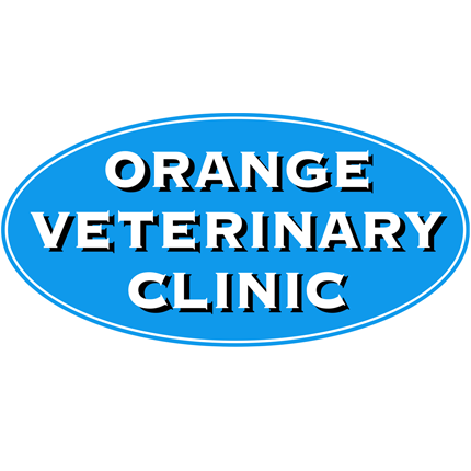 Orange Veterinary Clinic | 13421 James Madison Hwy, Orange, VA 22960, USA | Phone: (540) 672-1600